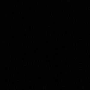 Meet your Posher, Ronnie